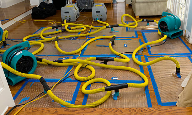 Professional Storm Water Damage Restoration technician working in Great Neck, NY